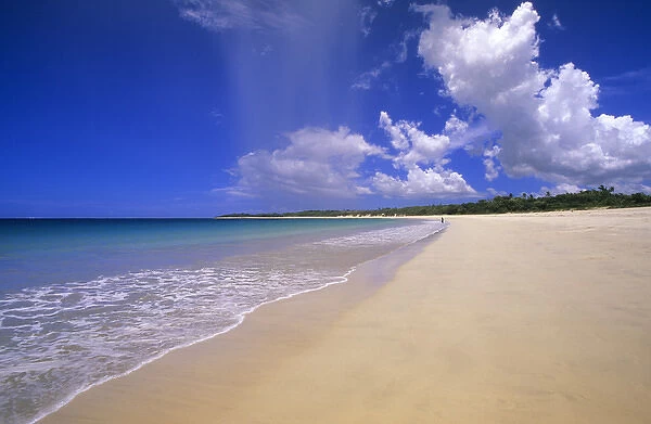 Beach, Viti Levu, Fiji