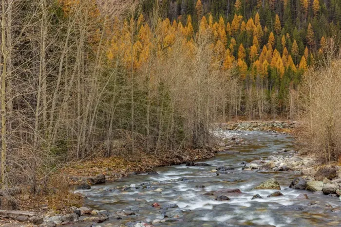 Framed Print : Bear Creek in autumn in the Flathead National Forest, Montana, USA
