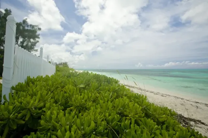 Framed Print : Beautiful beach areas of Grace Bay in Provodenciales, Turks and Caicos Framed Print : Beautiful beach areas of Grace Bay in Provodenciales, Turks and Caicos