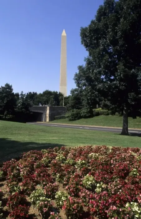 Framed Print : The beautiful color of the Washington Monument needle towards the sky with flowers Framed Print : The beautiful color of the Washington Monument needle towards the sky with flowers