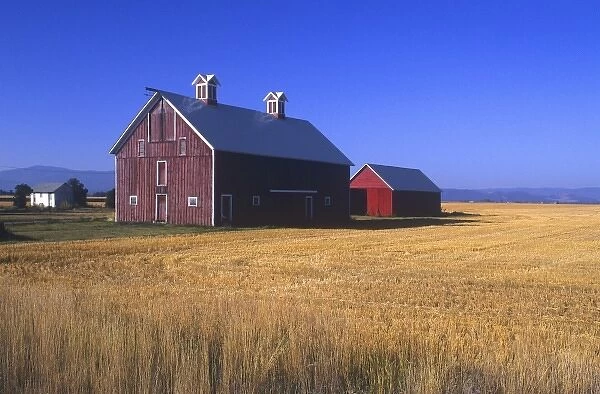 Beautiful morning light bathes a farm with a red barn. Located near Kalispell, Montana