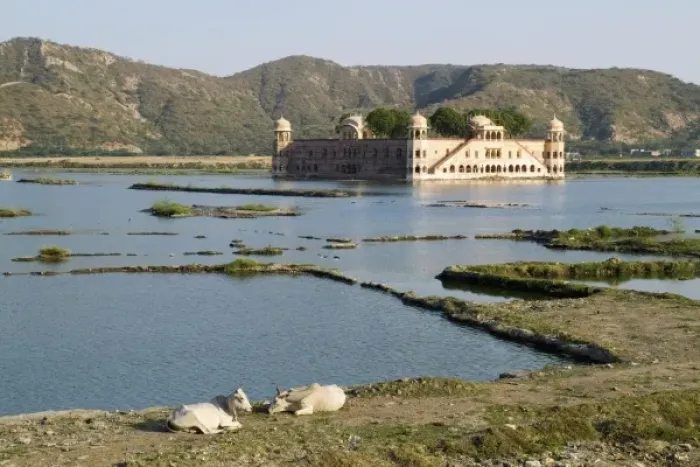 Framed Print : Beautiful peaceful Water Palace of Jal Mahal on the Man Sagar Lake in Jaipur Rajasthan Framed Print : Beautiful peaceful Water Palace of Jal Mahal on the Man Sagar Lake in Jaipur Rajasthan