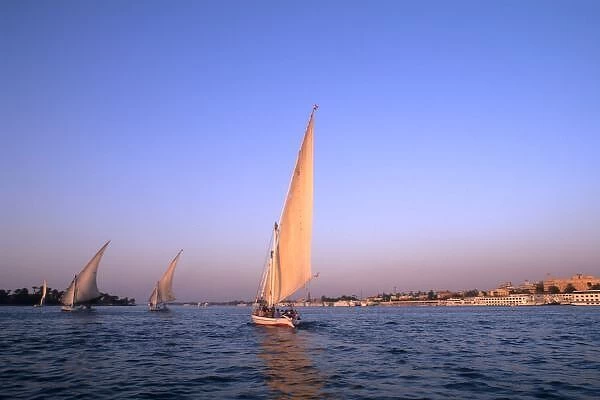 Beautiful sail boats riding along the famous Nile River in Cairo Egypt