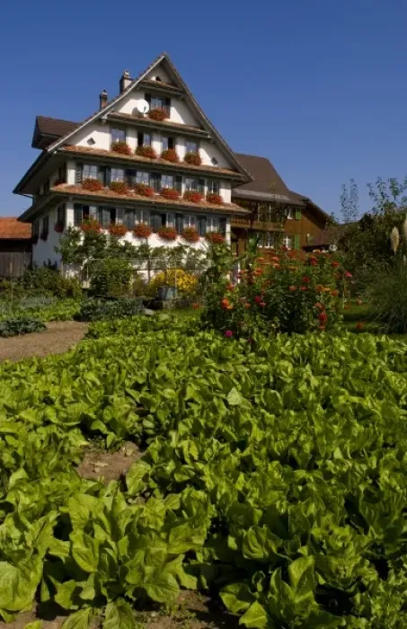 Framed Print : Beautiful Swiss chalets with flowers near Interlaken, Switzerland