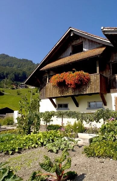 Beautiful Swiss chalets with flowers near Interlaken, Switzerland