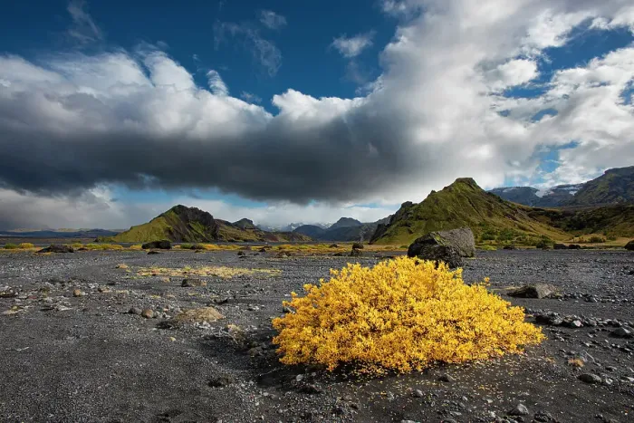 Framed Print : Beautiful Valley of Thor reaches into the highlands of Iceland. Here fall color livens the landscape