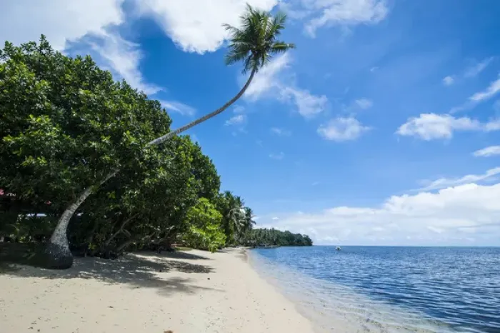 Framed Print : Beautiful white sand beach and palm trees on the island of Yap, Micronesia
