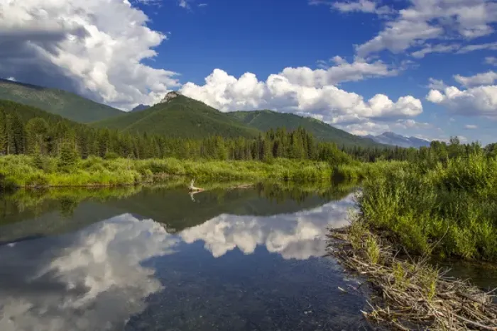Framed Print : Beaver pond along the Flathead River near Fernie, British Columbia, Canada Framed Print : Beaver pond along the Flathead River near Fernie, British Columbia, Canada