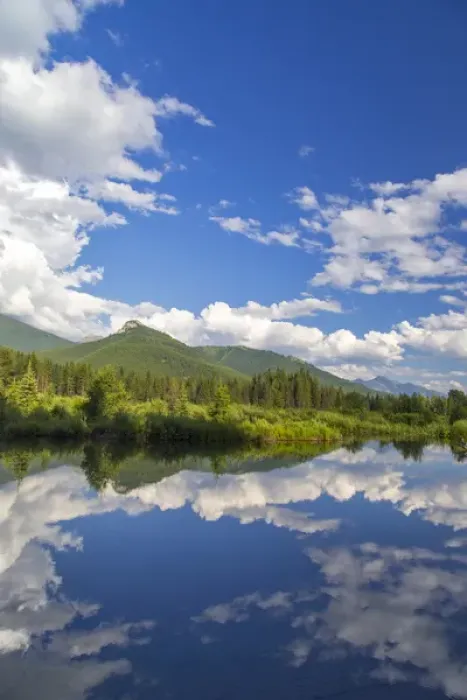 Framed Print : Beaver pond along the Flathead River near Fernie, British Columbia, Canada