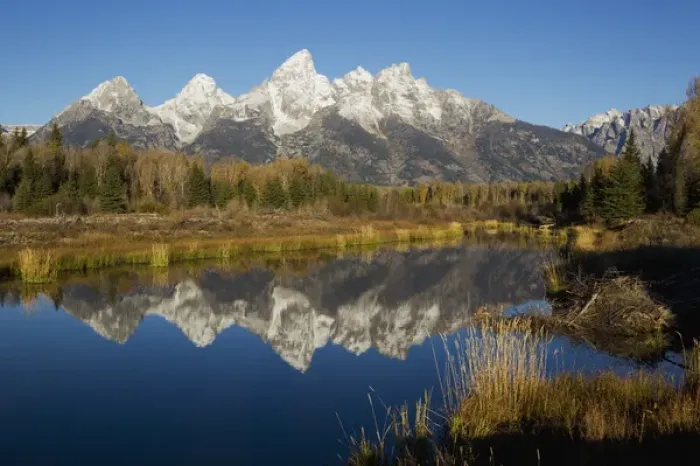 Framed Print : Beaver Pond, Grand Tetons