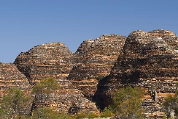 Beehives, Bungle Bungles, Purnululu National Park, Kimberley Region, Western Australia