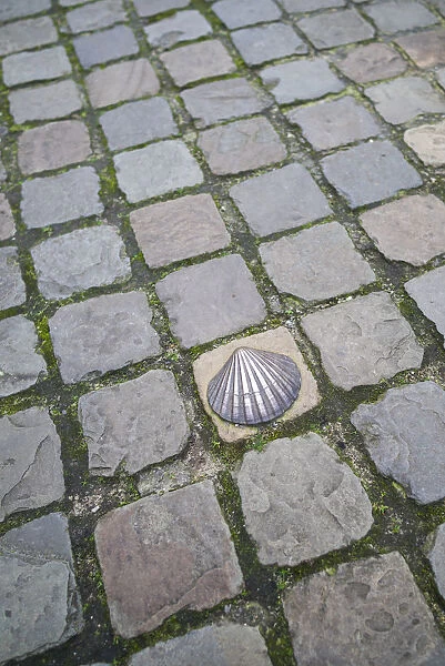 Belgium, Bruges, bronze seashell marking of the Camino de Santiago religious pilgrimage