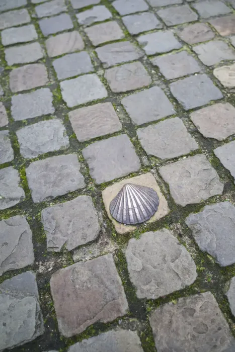Framed Print : Belgium, Bruges, bronze seashell marking of the Camino de Santiago religious pilgrimage Framed Print : Belgium, Bruges, bronze seashell marking of the Camino de Santiago religious pilgrimage