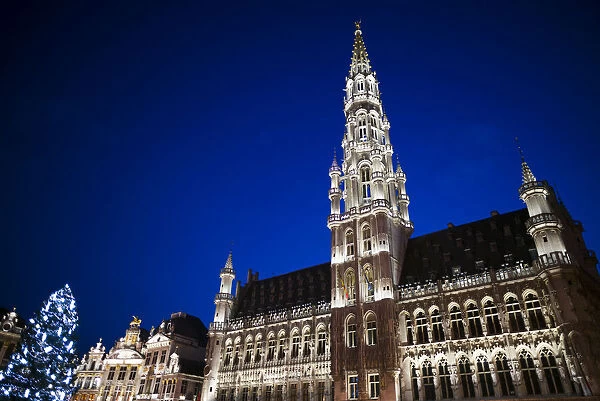 Belgium, Brussels, Grand Place, Hotel de ville, evening illumination with Christmas tree