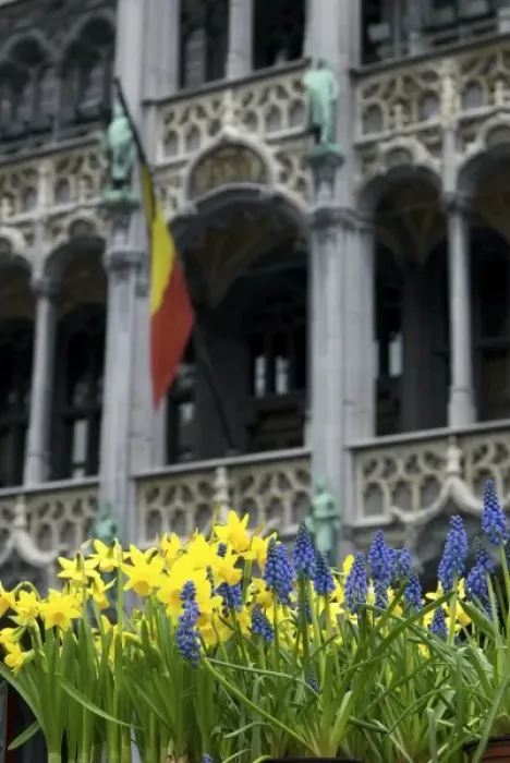 Framed Print : Belgium, Flanders, Brussels, flowers in Grand Place, Maison du Roi Framed Print : Belgium, Flanders, Brussels, flowers in Grand Place, Maison du Roi