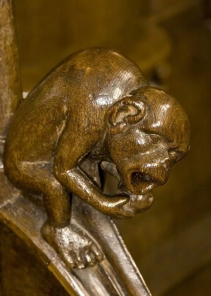 Belgium, Liege, wood carving in church pew