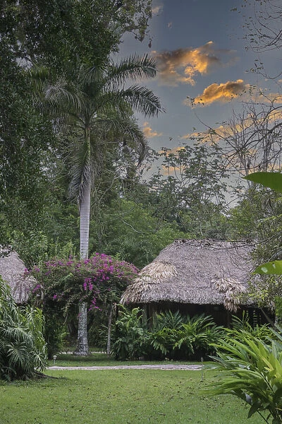 Belize, Central America. Chan Chich Ecolodge in the Western Belize Jungle