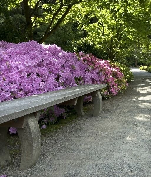Bench along Path at Japanese Garden