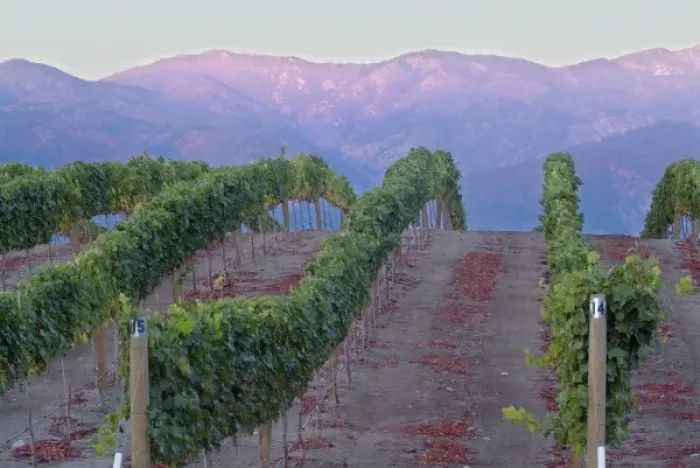 Framed Print : Benson Winery vineyard rolls down to Lake Chelan, Washington, with sunrise red glow Framed Print : Benson Winery vineyard rolls down to Lake Chelan, Washington, with sunrise red glow