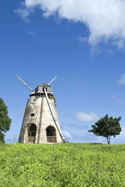 Bettys Hope windmill, Antigua, West Indies, Caribbean, Central America