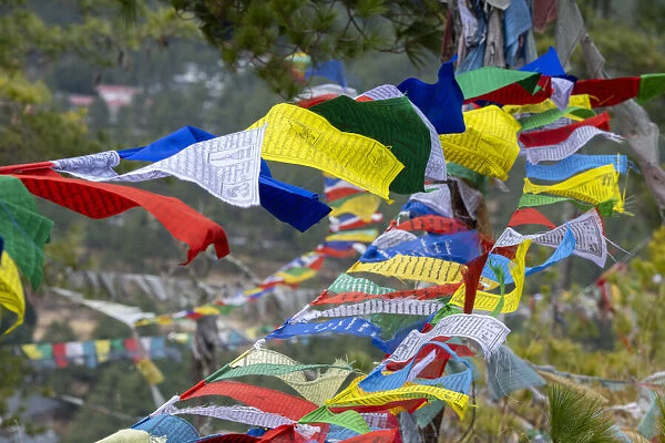 Bhutan, Thimphu. Colorful prayer flags on mountain top at the Sangaygang Geodetic Station
