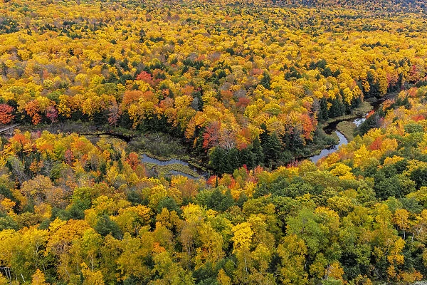 Big Carp River in autumn in Porcupine Mountains Wilderness State Park in the Upper