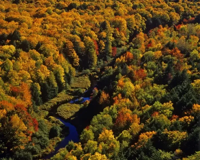Framed Print : The Big Carp River in autumn at Porcupine Mountains State Park, Michigan, USA Framed Print : The Big Carp River in autumn at Porcupine Mountains State Park, Michigan, USA