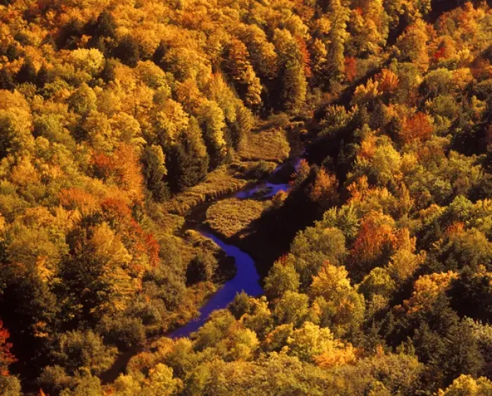 Framed Print : Big Carp River, Porcupine State Park in UP Michigan