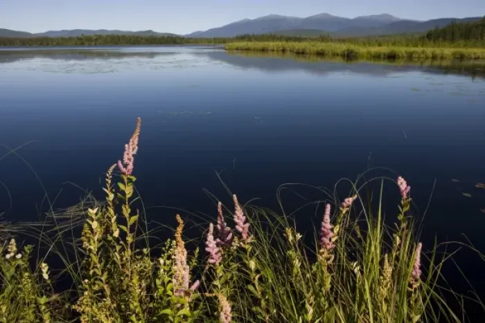 Framed Print : Big Cherry Pond and the Presidential Range in Jefferson, New Hampshire. Pondicherry Framed Print : Big Cherry Pond and the Presidential Range in Jefferson, New Hampshire. Pondicherry