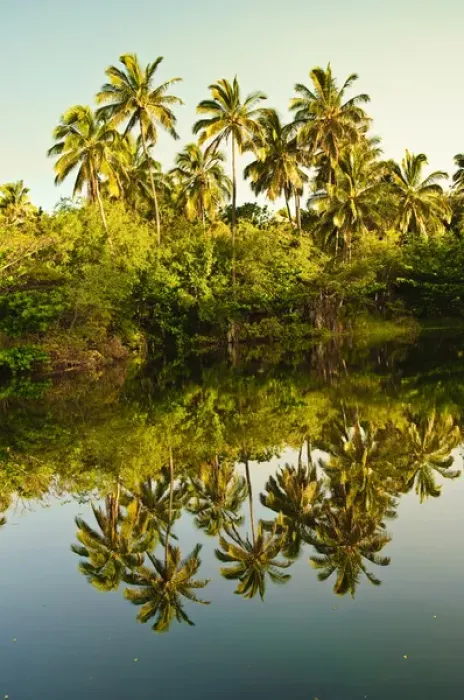 Framed Print : Big Island, Hawaii. Punaluu Black sand beach, Big Island Hawaii