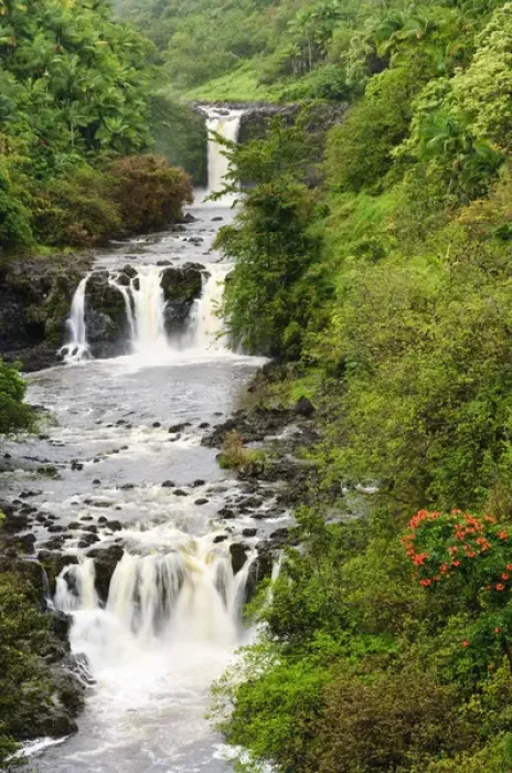 Framed Print : Big Island, Hawaii. Umauma Falls World Botanical Garden Hilo The Big Island Hawaii