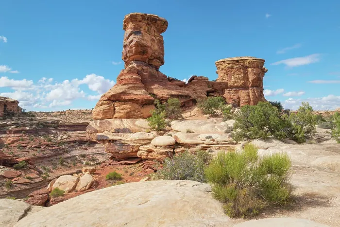 Framed Print : Big Spring Canyon in Needles District, Canyonlands National Park. Utah Framed Print : Big Spring Canyon in Needles District, Canyonlands National Park. Utah