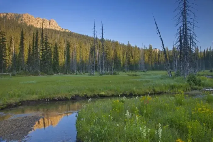 Framed Print : Big Therriault Creek runs through lush summer meadow below St Clair Peak in the Ten Framed Print : Big Therriault Creek runs through lush summer meadow below St Clair Peak in the Ten