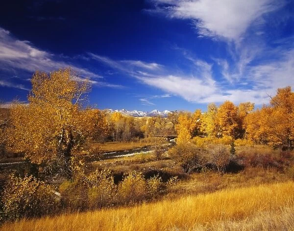 Big Timber Creek in autumn with Crazy Mountains near Big Timber, Montana, USA