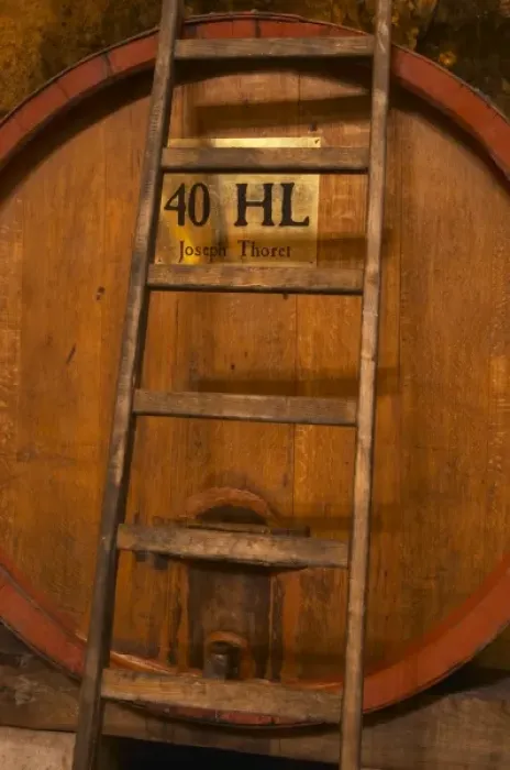 Framed Print : Big wooden vat to store wine, 40 hl hektolitres Joseph Thoret. Ladder leaning against the barrel