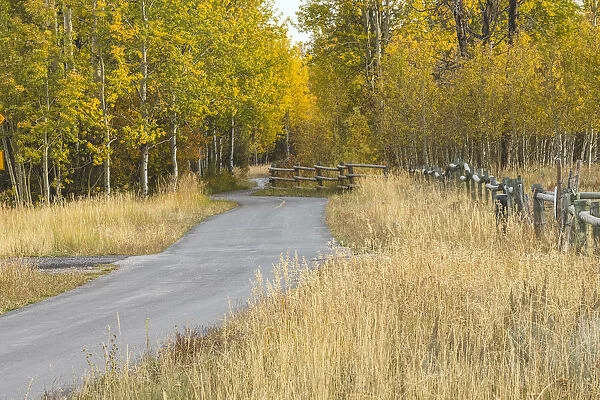 Bike path in autumn, Grand Teton National Park, Wyoming