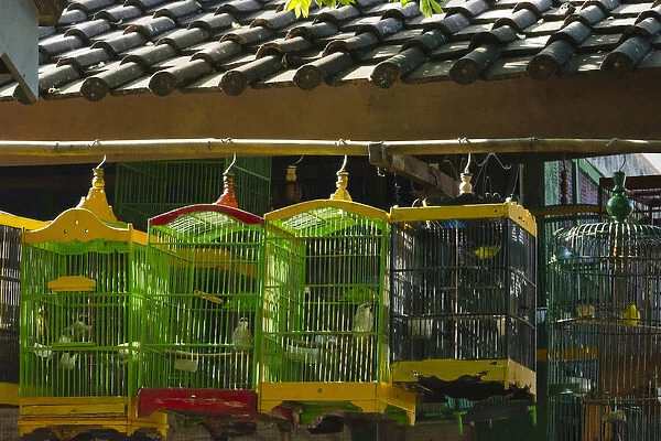 Bird cages at Ngasem Traditional Bird Market, Yogyakarta, Java, Indonesia