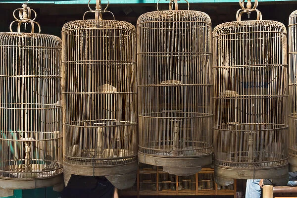 Bird cages at Ngasem Traditional Bird Market, Yogyakarta, Java, Indonesia