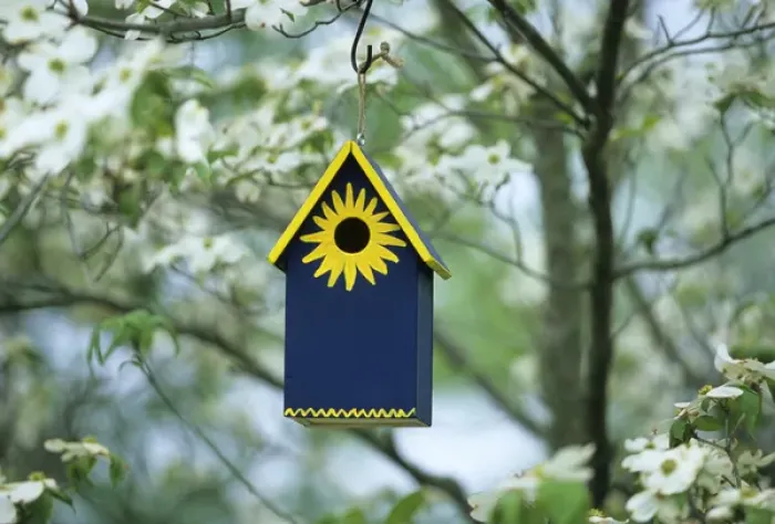 Framed Print : Bird House Nest box in flowering Dogwood tree (Cornus florida) in spring, Marion Co. IL
