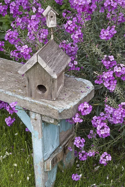 Bird houses on bench next to garden flowers