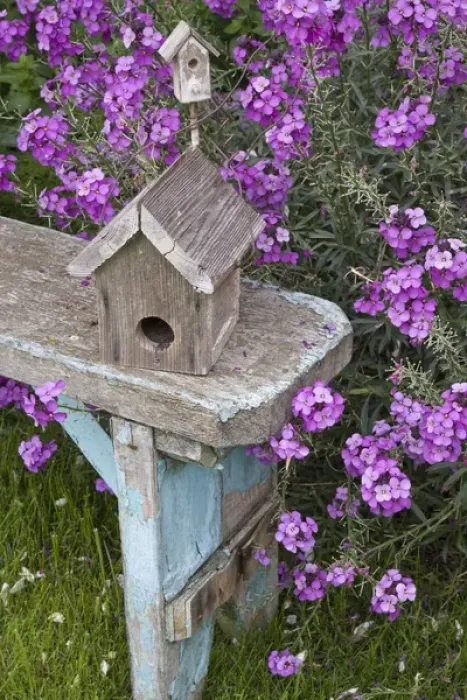 Framed Print : Bird houses on bench next to garden flowers Framed Print : Bird houses on bench next to garden flowers