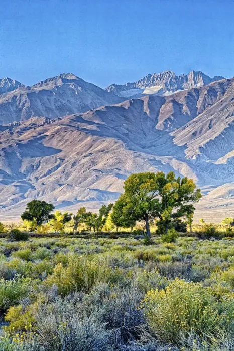 Framed Print : Biship; Eastern Sierra Region; Owens Valley; USA Framed Print : Biship; Eastern Sierra Region; Owens Valley; USA