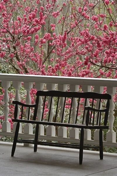 Black chair on porch, Magnolia Plantation, Charleston, South Carolina