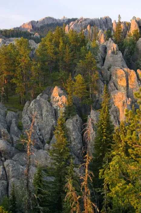 Framed Print : Black Elk Wilderness, South Dakota. USA. Light of sunset on granite below Harney Peak Framed Print : Black Elk Wilderness, South Dakota. USA. Light of sunset on granite below Harney Peak