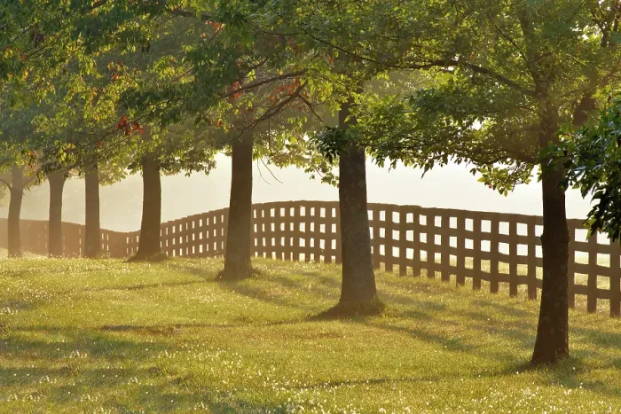 Framed Print : Black fences on horse farm at sunrise on foggy morning, Oldham County, Kentucky Framed Print : Black fences on horse farm at sunrise on foggy morning, Oldham County, Kentucky