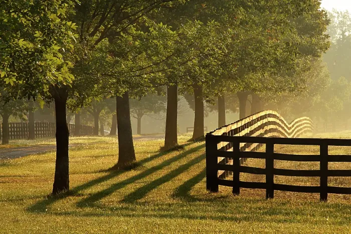 Framed Print : Black fences on horse farm at sunrise on foggy morning, Oldham County, Kentucky Framed Print : Black fences on horse farm at sunrise on foggy morning, Oldham County, Kentucky