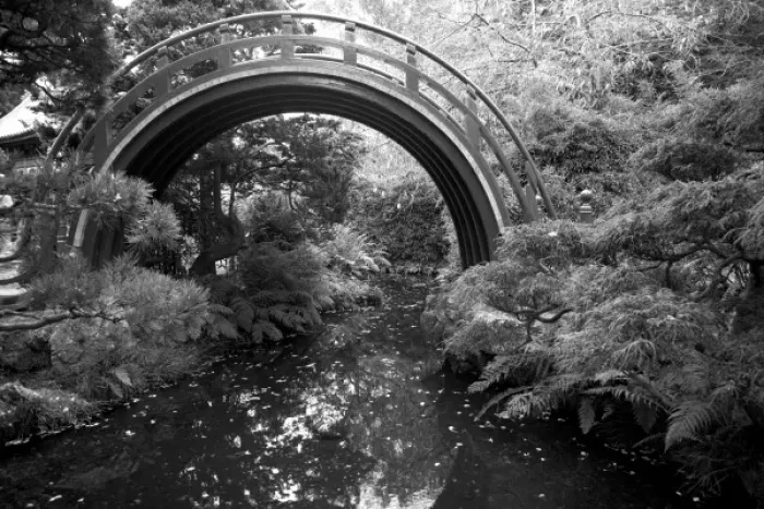 Framed Print : Black and White Arched Bridge in the Japanese Gardens in Golden Gate Park, San Francisco Framed Print : Black and White Arched Bridge in the Japanese Gardens in Golden Gate Park, San Francisco