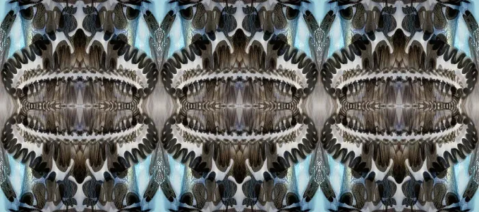 Framed Print : Black, white and blue bold abstract Framed Print : Black, white and blue bold abstract