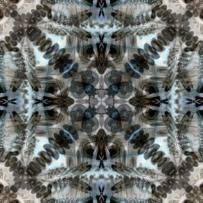 Framed Print : Black, white and blue kaleidoscope abstract Framed Print : Black, white and blue kaleidoscope abstract