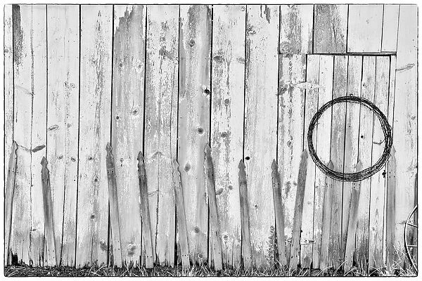 Black and White image of old wooden shed with hanging barbwire, Benge, Washington State